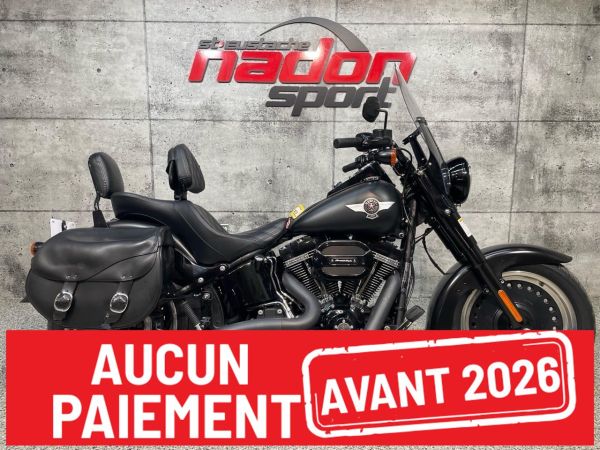 CS-24881 Occasion HARLEY FAT BOY LO FLSTFBS 2016 a vendre 1