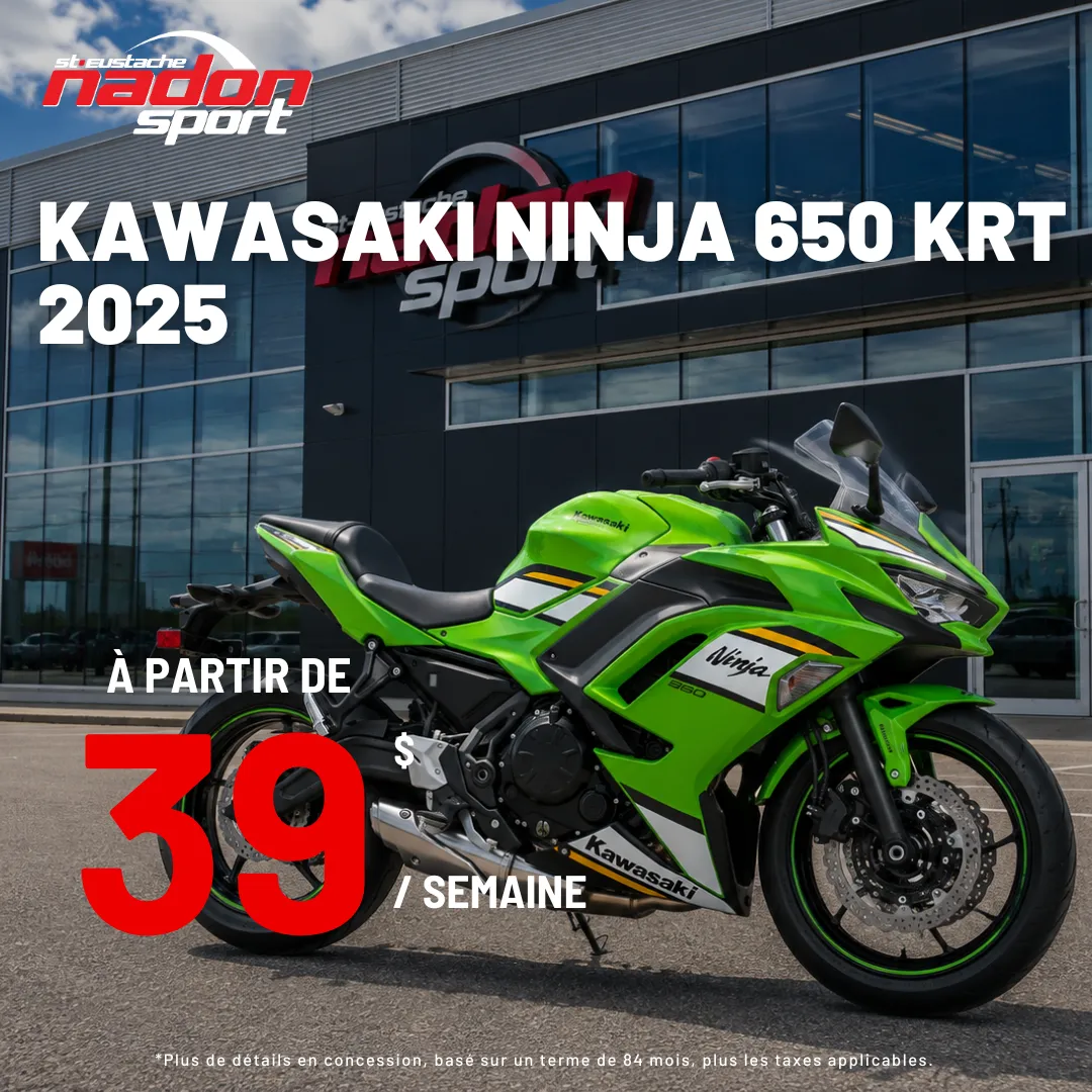 Kawasaki Ninja 650 KRT