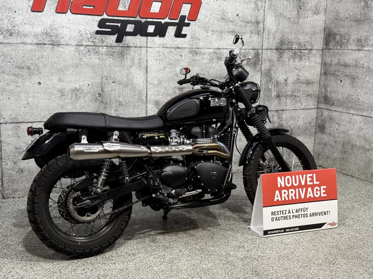 TRIUMPH SRAMBLER 900 2015 - CS-26097