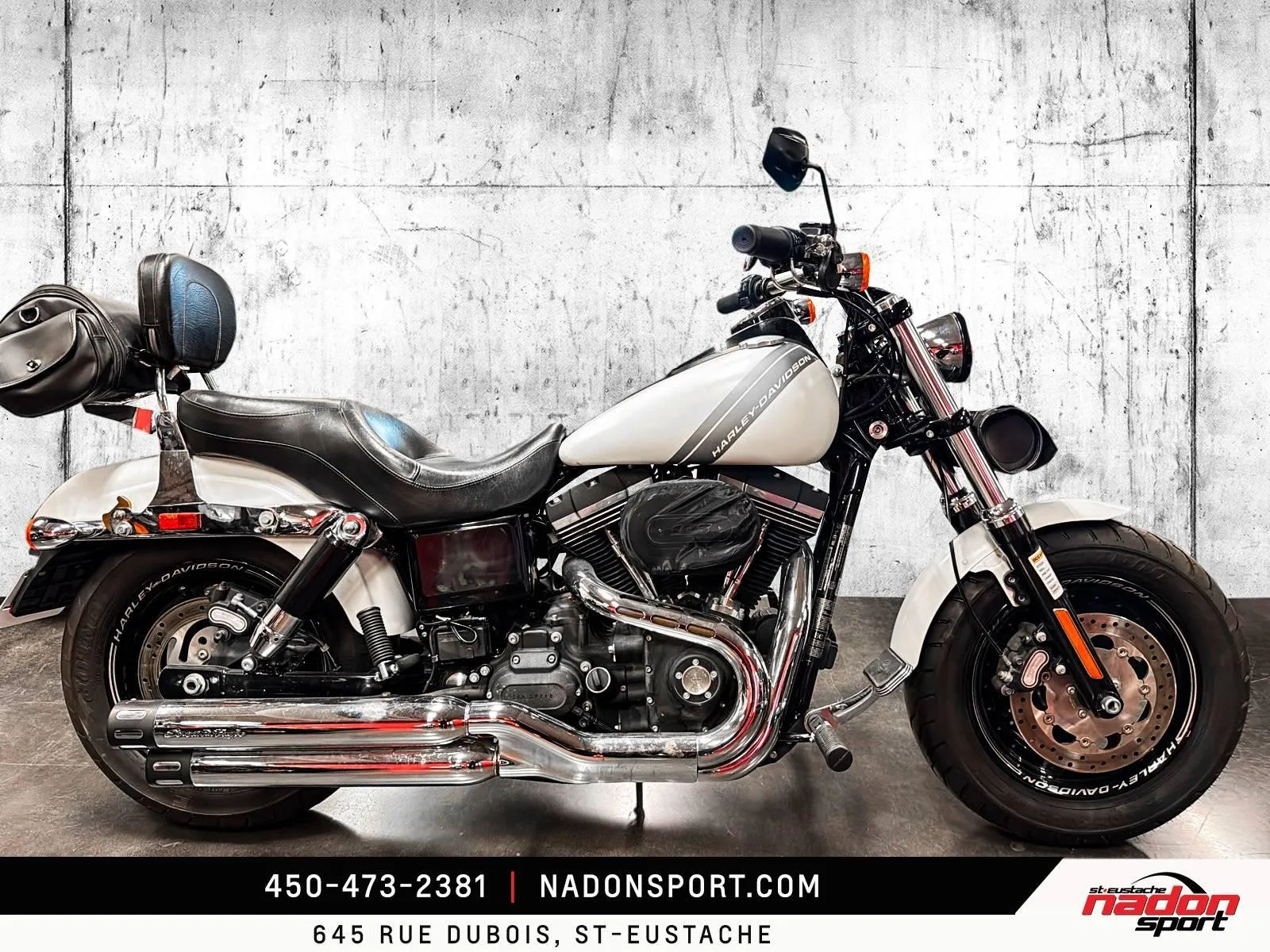 HARLEY FAT BOB FXDF 103 LIQUIDATION! 2017 - CS-23850