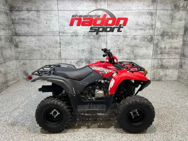 YAMAHA 2025 Grizzly 110 