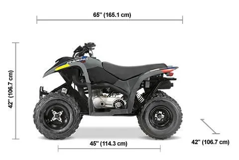 CS-NA-WEB-7005 Neuf POLARIS Phoenix 200 2026 a vendre 1