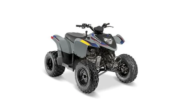 Polaris Phoenix 200 2027